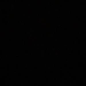 Meet your Posher, Isabella